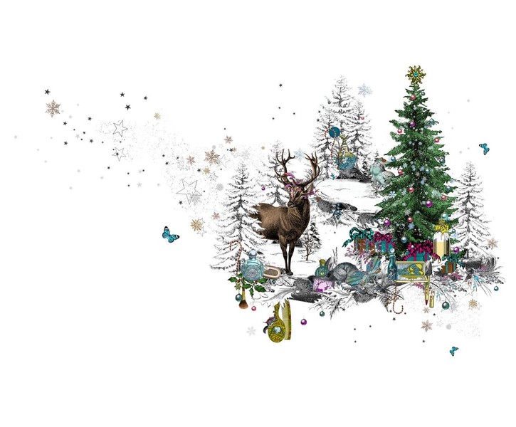 Photo Kristjana S Williams