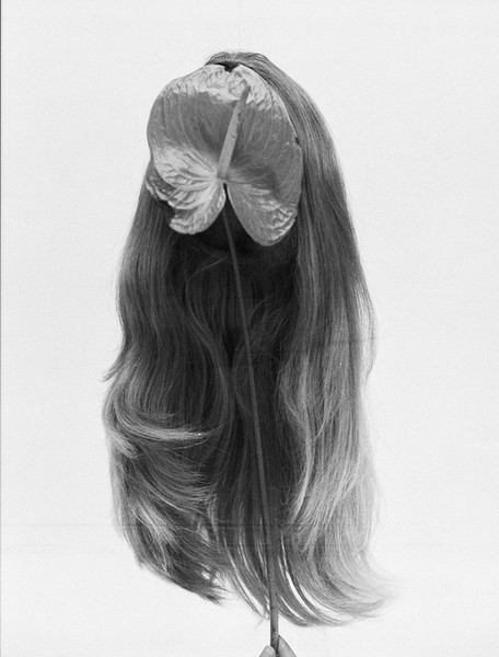 Photo Michelle Du Xuan