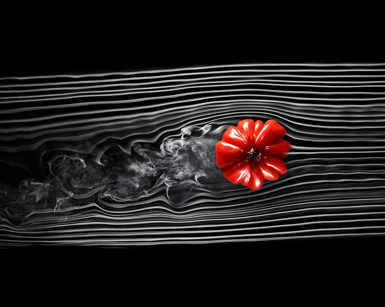 Photo Cedric Porchez