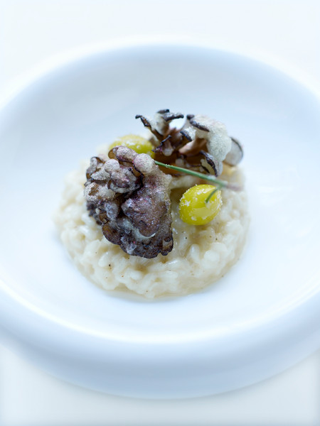 Photo Jean-Claude Amiel