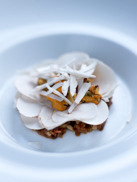 Photo Jean-Claude Amiel