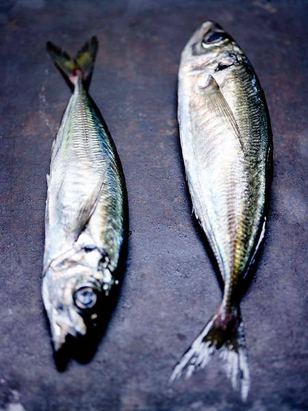 Photo Jean-Claude Amiel