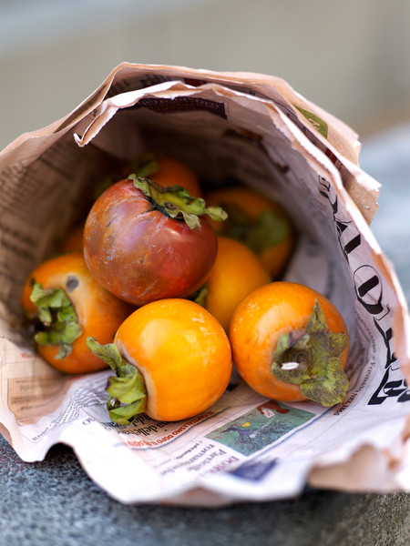 Photo Jean-Claude Amiel