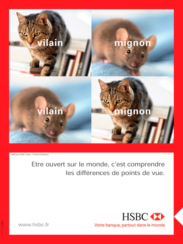 Photo Pascal Dolémieux