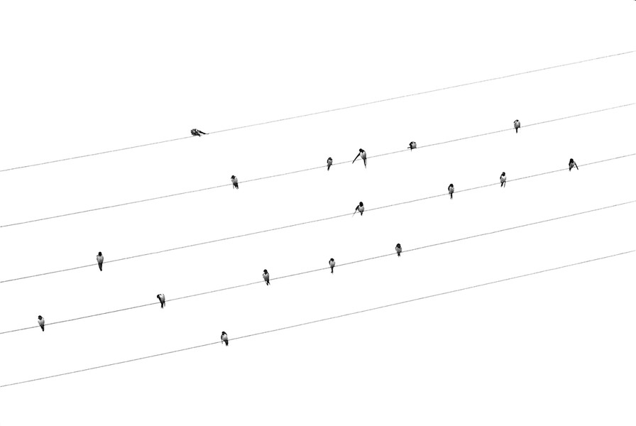 Photo Alain Longeaud