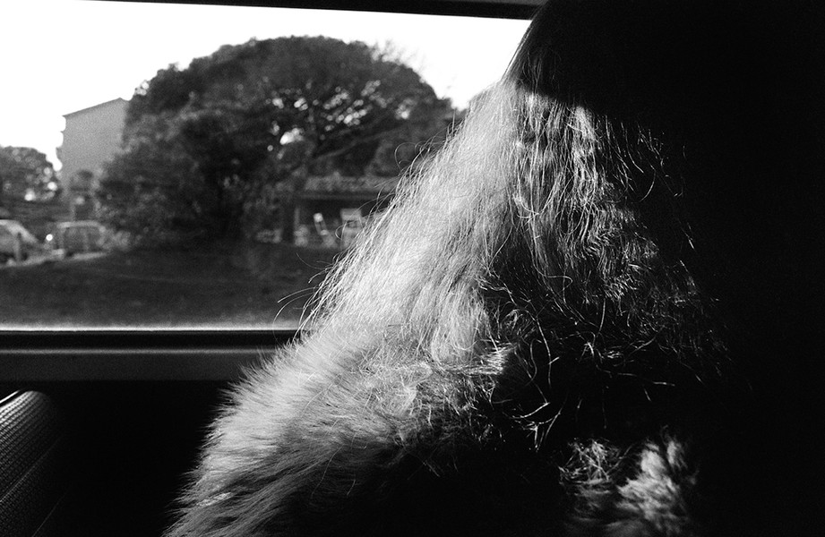 Photo Alain Longeaud