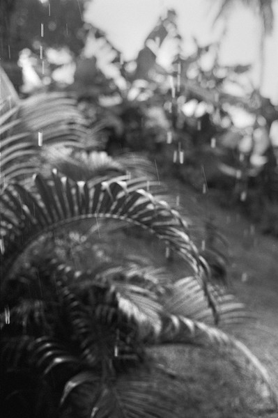 Photo Alain Longeaud