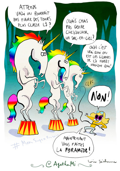 Photo Loïc Secheresse