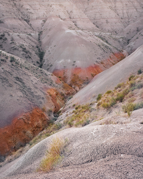 Photo Thomas Chéné