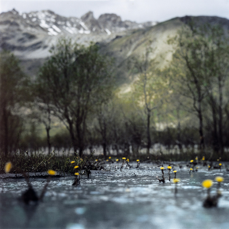 Photo Stéphanie Tétu