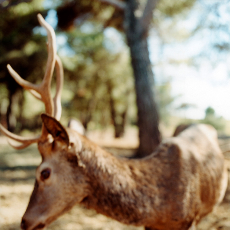 Photo Stéphanie Tétu