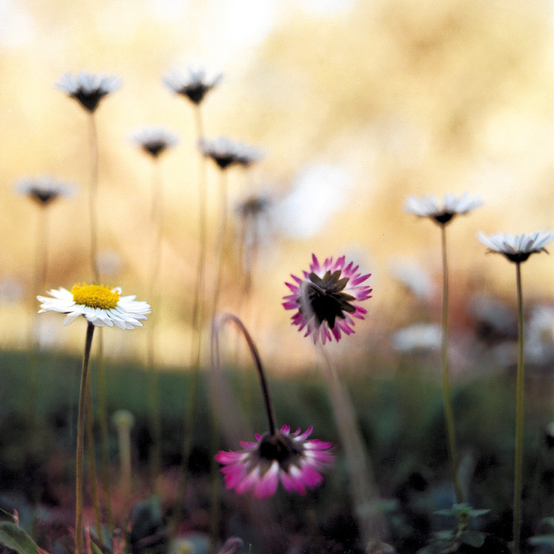 Photo Stéphanie Tétu