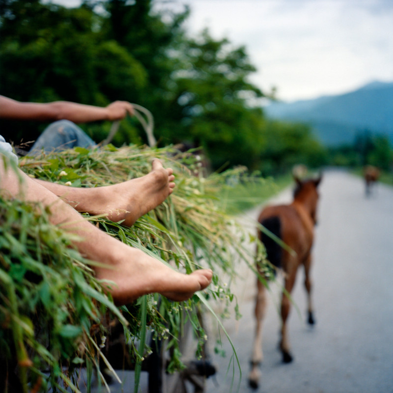 Photo Stéphanie Tétu