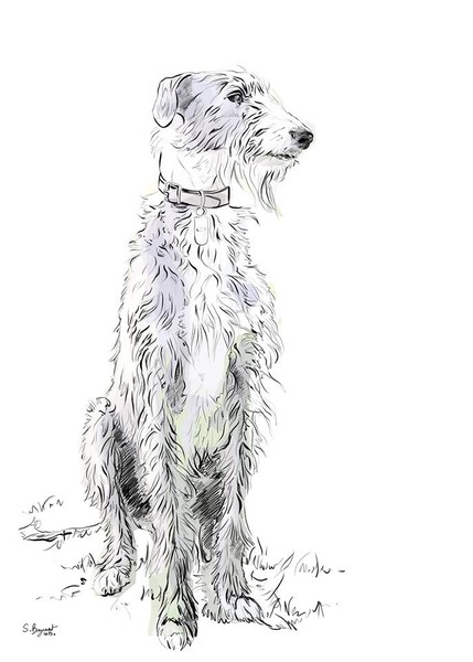 Photo Sabine Breynaert