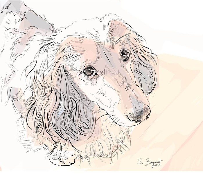 Photo Sabine Breynaert