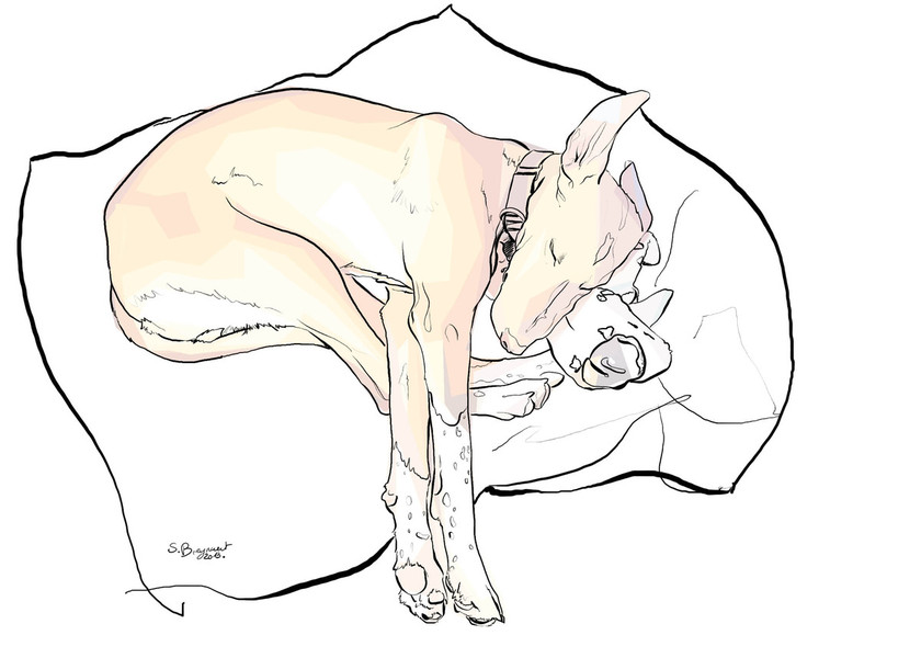 Photo Sabine Breynaert