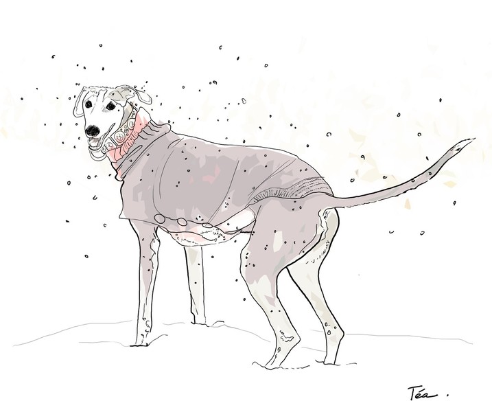 Photo Sabine Breynaert