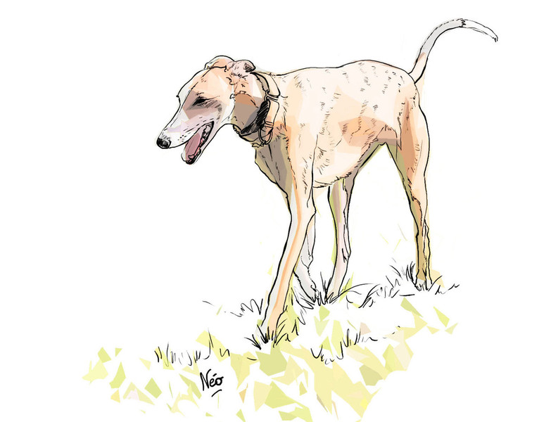 Photo Sabine Breynaert