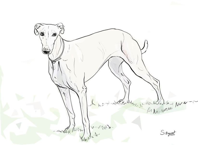 Photo Sabine Breynaert