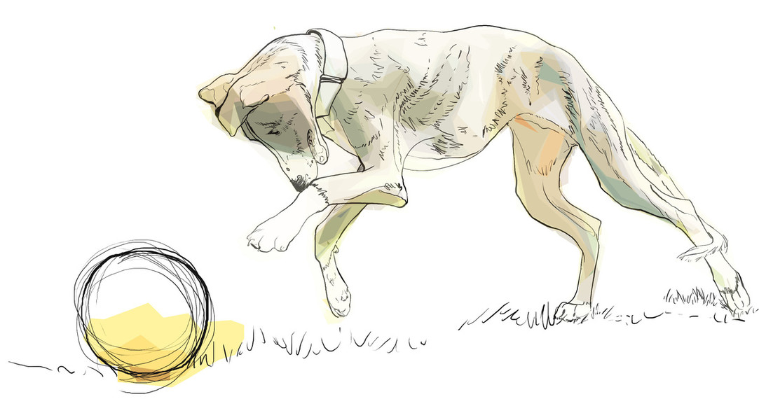 Photo Sabine Breynaert