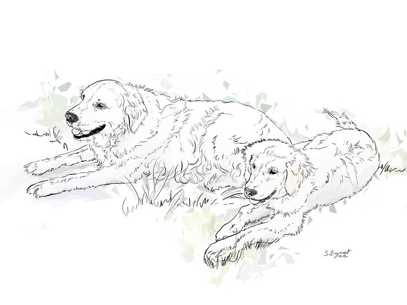 Photo Sabine Breynaert