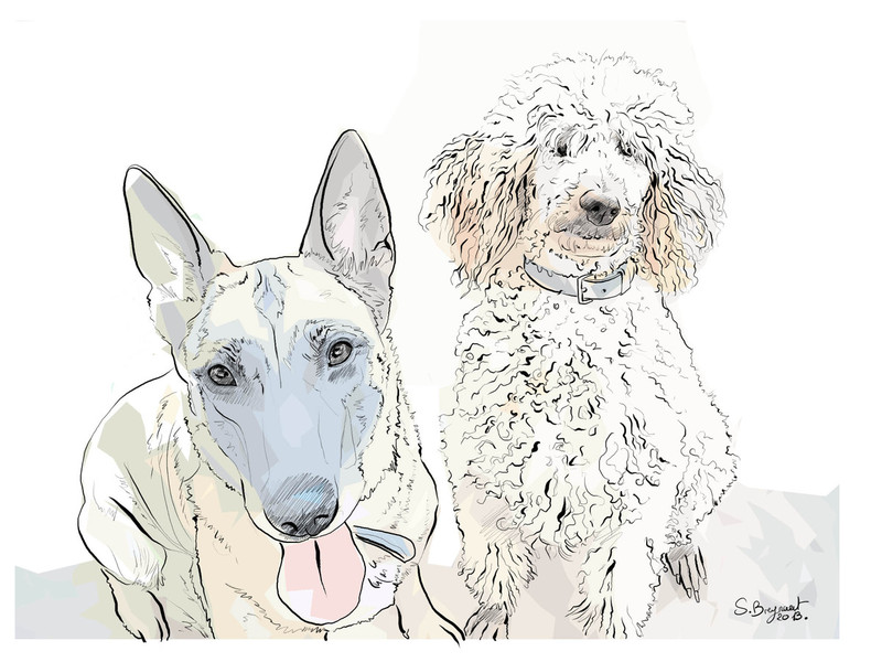 Photo Sabine Breynaert