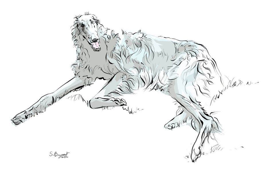 Photo Sabine Breynaert