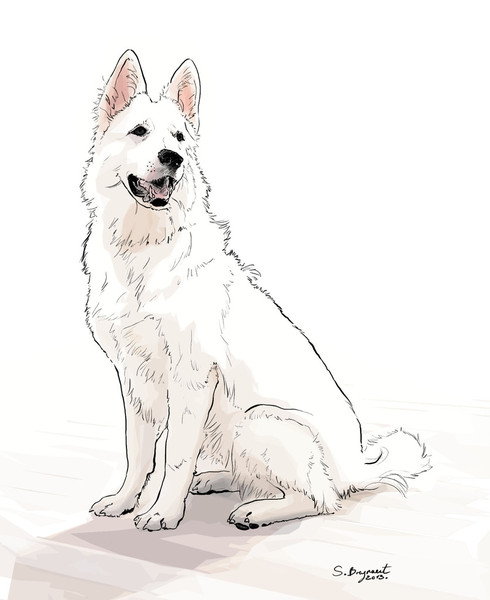 Photo Sabine Breynaert