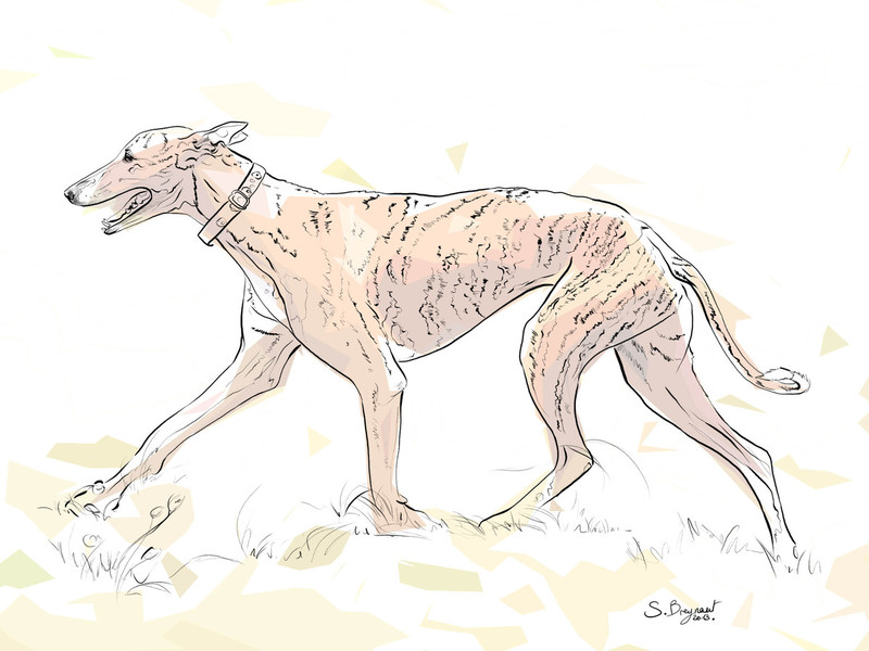 Photo Sabine Breynaert