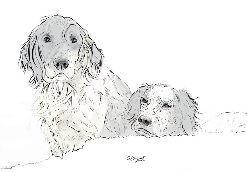 Photo Sabine Breynaert