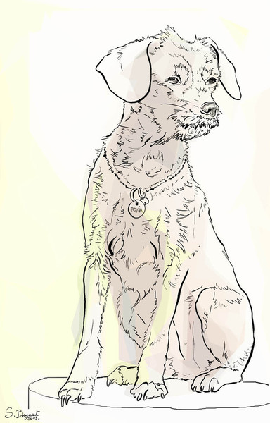 Photo Sabine Breynaert