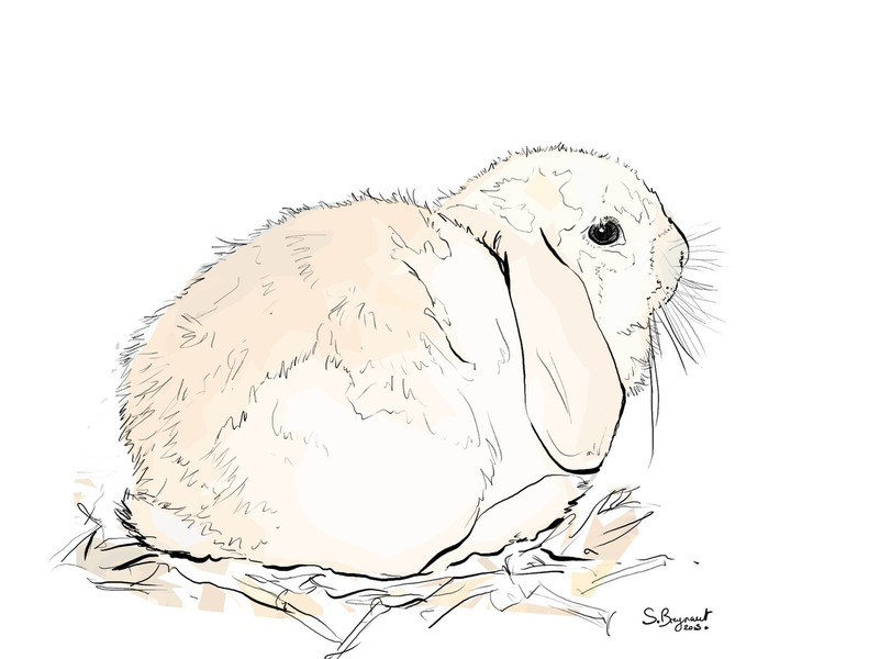 Photo Sabine Breynaert