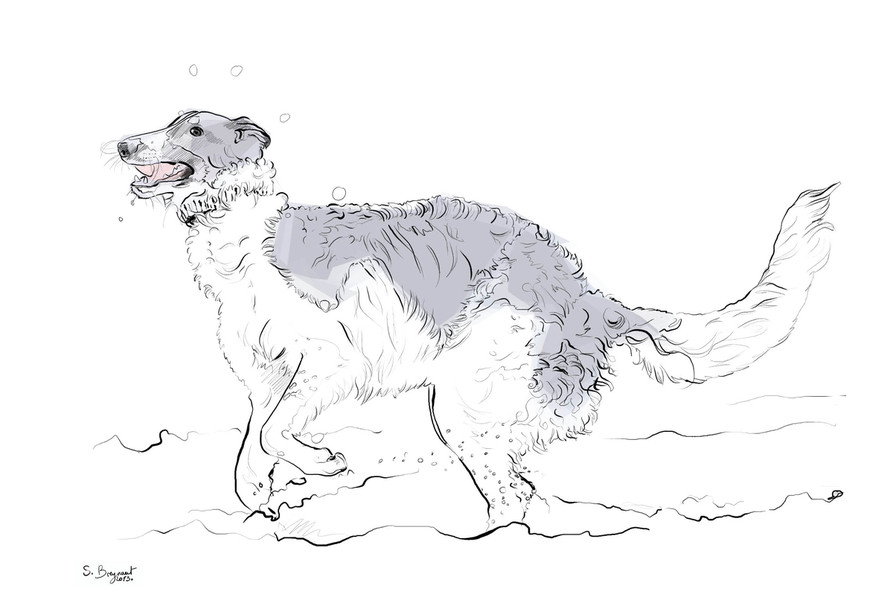 Photo Sabine Breynaert