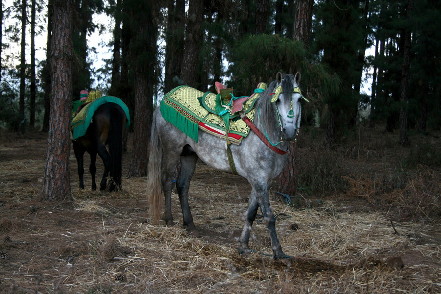 Photo Delphine Warin